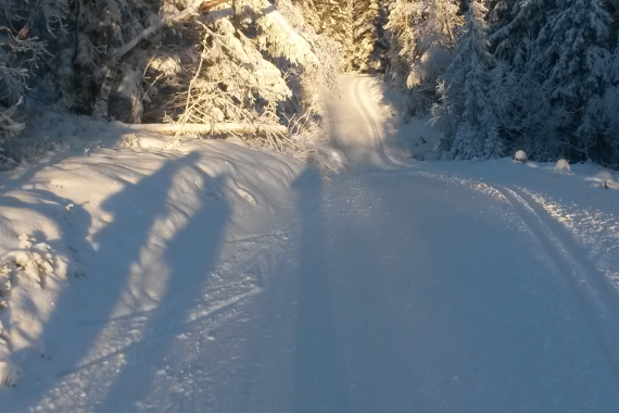 Fine skiforhold i Gjøvikmarka