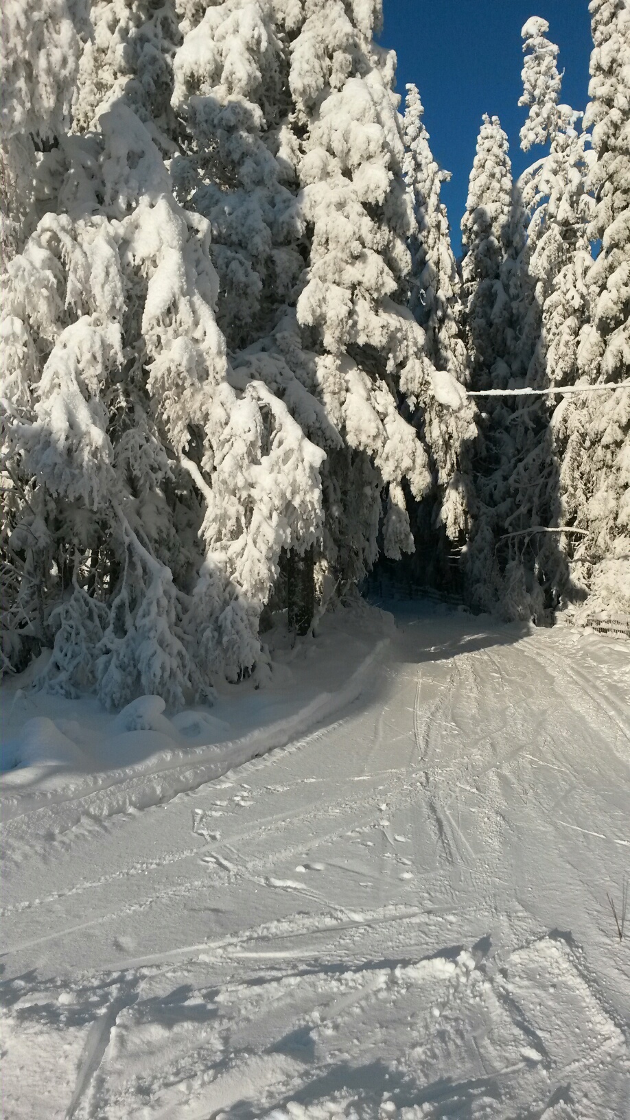 skimaraton