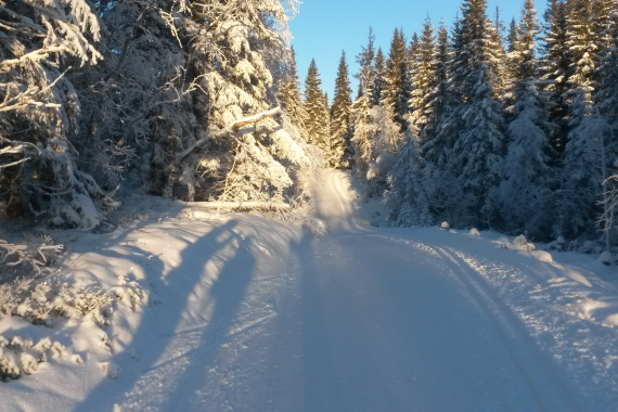 Madshus Skimaraton flyttes til Øvre Vardal idrettsplass i Mustadroa